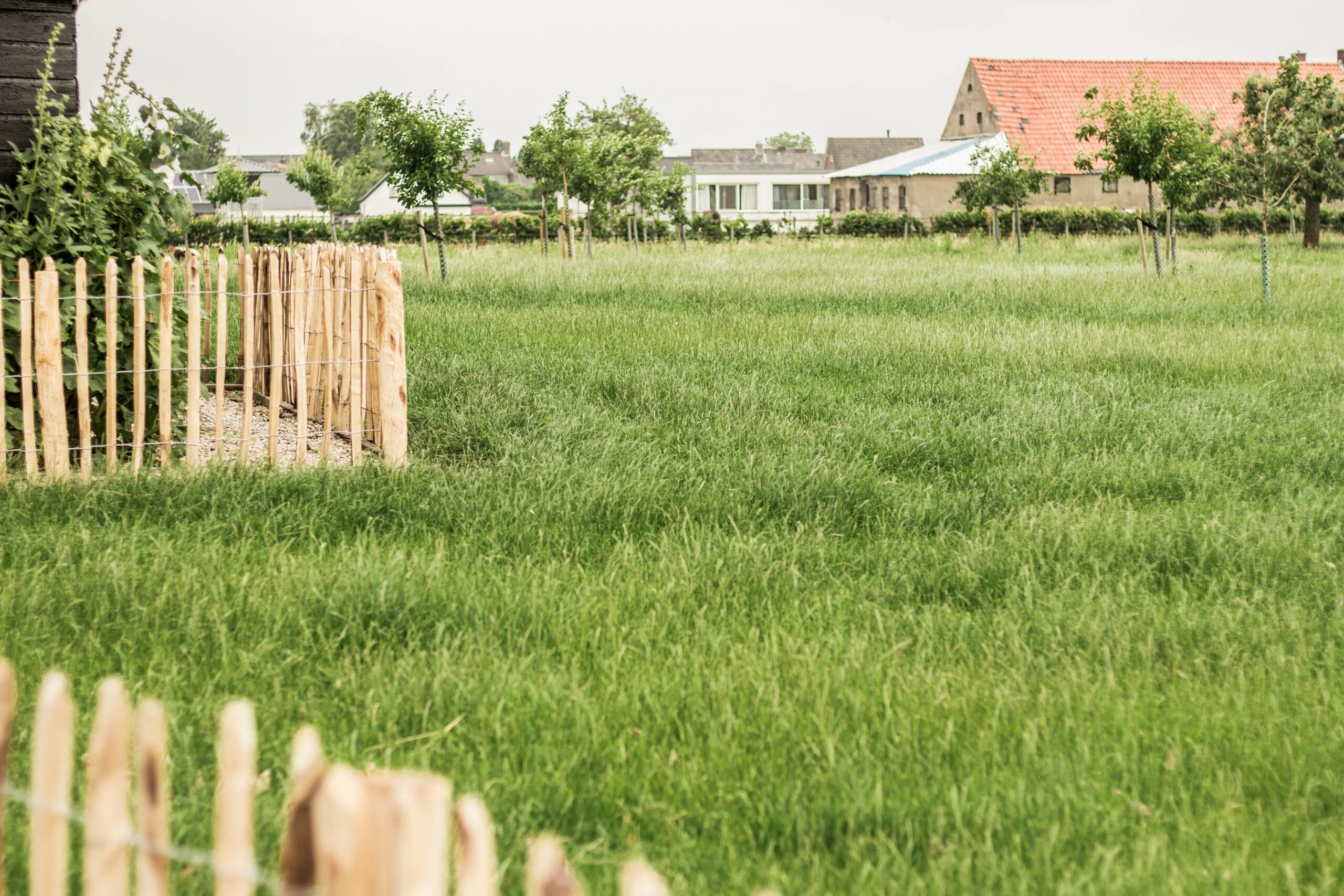 Grastotaal - Juni 2019 - portfolio-44